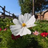 DJI483611-LANG1-1eb1ebe9-827f-449c-a261-d0de2f8cb4b3