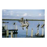 IMP56680-LANG1-313dc1f8-49a7-49f7-97e6-d0d6061125ea