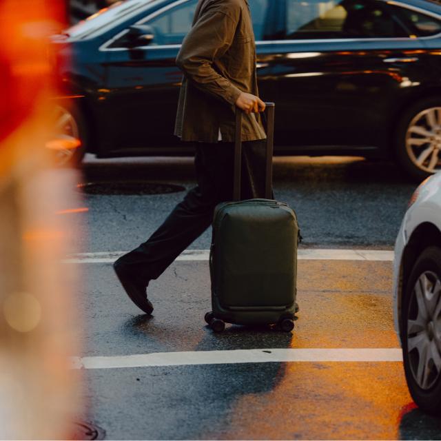 Peak Design Roller Pro Carry-On, Sage