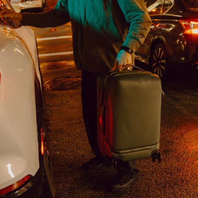 Peak Design Roller Pro Carry-On, Sage w/ Cube