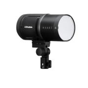 RENTAL90479-LANG1-50f3b901-7455-43ff-8c75-0c9567ed1d0f