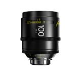 DZO-SAP100MPL-LANG1-57165507-0c04-4474-88f4-e64fcd530ca8