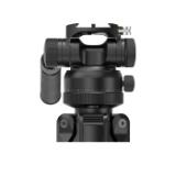 PEAK134288-LANG1-5ff0d2ea-a31a-4678-9474-42cfdbf11686