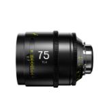 DZO-SAP5A25MPL-LANG1-6a6dd20a-1d2d-4e0a-9ad2-024949a4591b