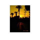 FUJIXHF1CHARCOAL-LANG1-7692dd16-a31e-4481-8de8-7ae296b188c6