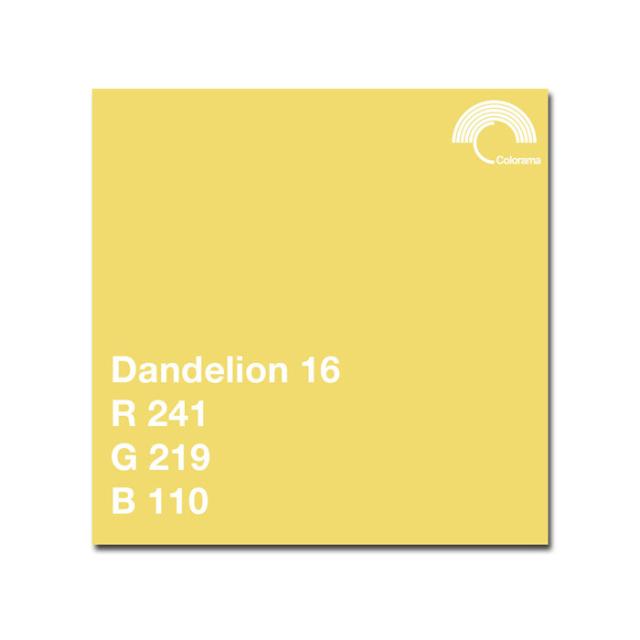 COLORAMA 516 DANDELION 1.35 X 11 M.