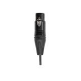 C05-LANG1-7e9d38f0-0bf8-4d69-bf1f-0505dff92571