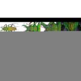 LAOWA131785-LANG1-8fb56634-fa38-4924-b284-89df4881a47e