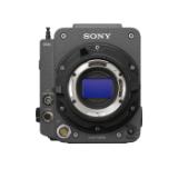 VENICE2-8K/CINE-LANG1-a8d94b68-4d9f-4a91-980c-d764165ceccc