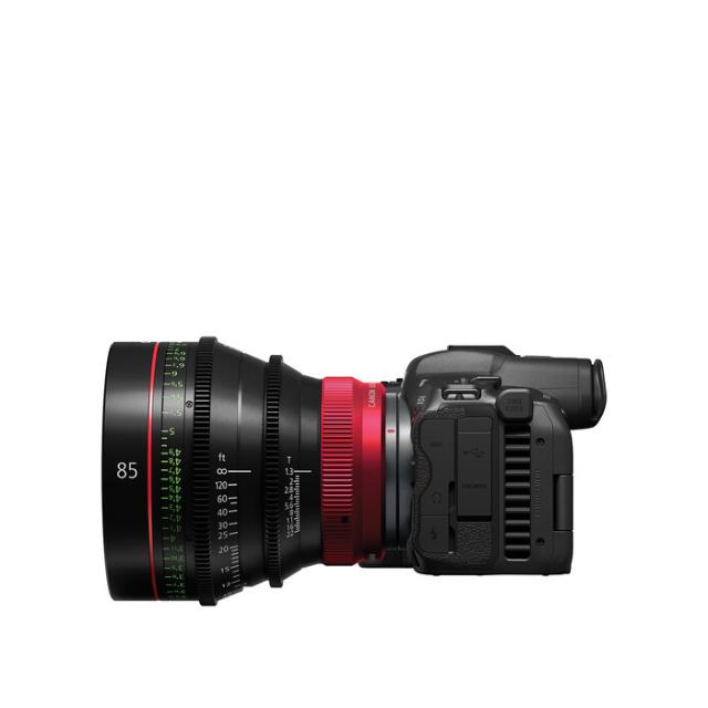 CANON CN-R 85MM T1.3 L F