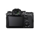 RENTAL80436-LANG1-e460f7ed-bf51-4a1c-b631-501d5d1a9be9