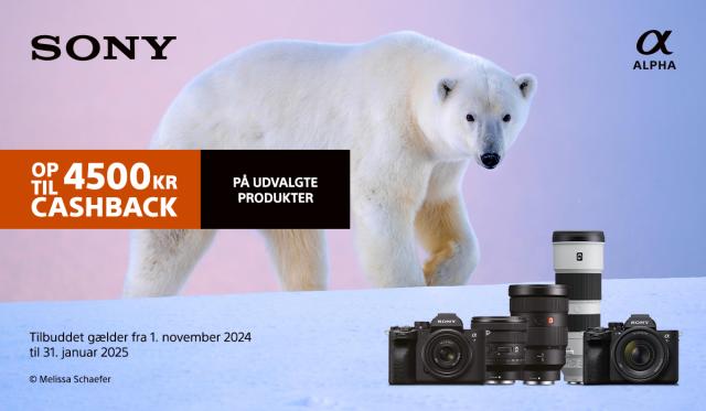 Sony Cashback