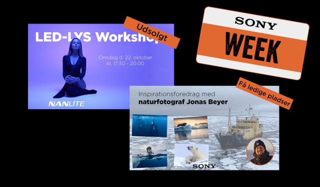 Sony Week events