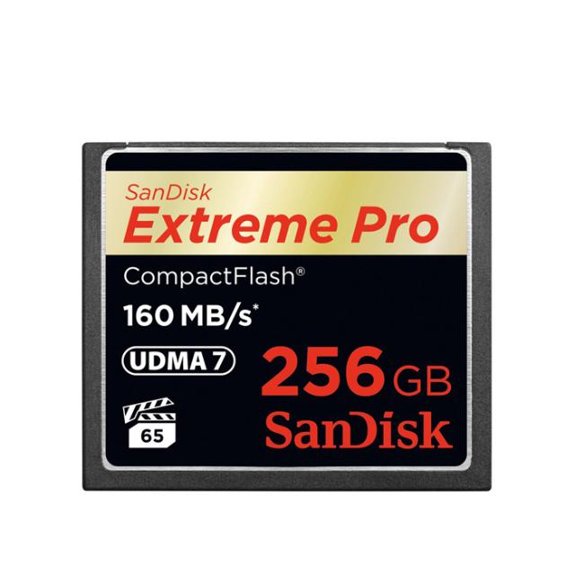 SANDISK CF 256 GB EXTREME PRO 160MB/S