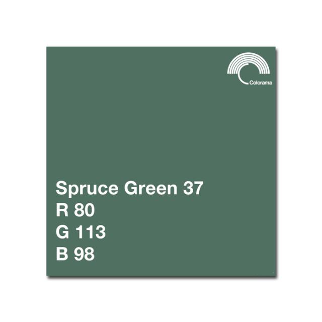 COLORAMA 137 SPRUCE GREEN 2.72 X 11 M.